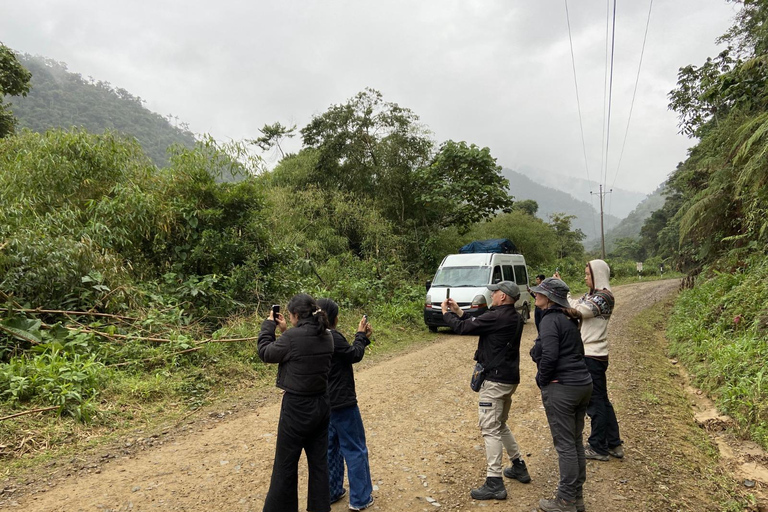 Da Cusco: 5 giorni di esplorazione e connessione nella Zona Riservata del ManuDa Cusco: 5 giorni di esplorazione e connessione nella Zona Riservata di Manu