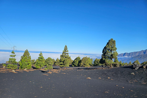 La Palma: Tour to the new Tajogaite volcano 360º.Pick up in Santa Cruz de La Palma