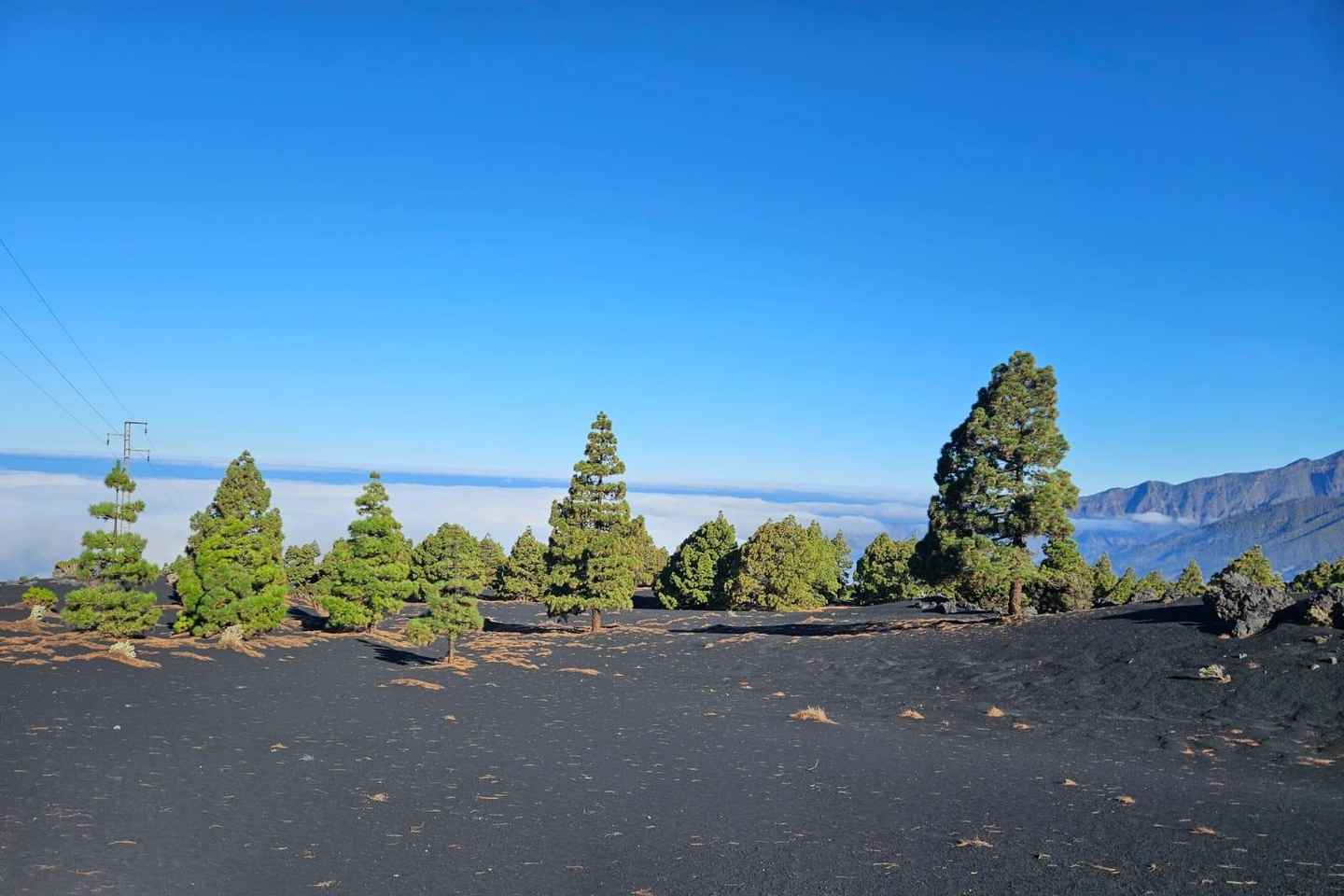 La Palma: Tour zum neuen Tajogaite Vulkan 360º.