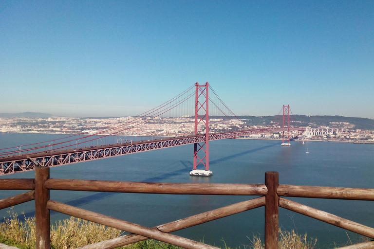 Tour de la ciudad de Lisboa; En coche privado