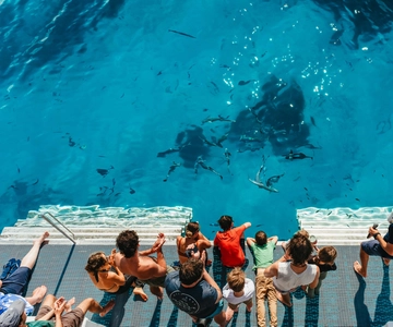 From Bundaberg: Barrier Reef & Lady Musgrave Island Day Tour