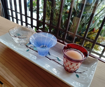 Hiroshima: Visita à cervejaria Saijo Sake com degustação 2h