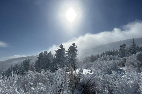Sofia: Vitosha National Park Snowshoe Hike with Lunch