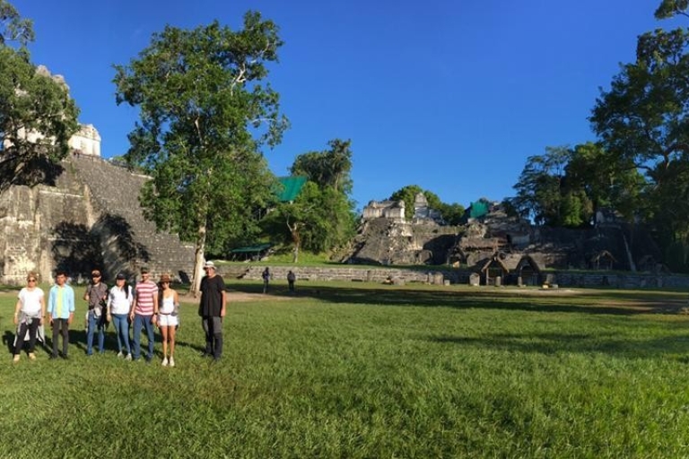Gedeelde Tour naar Tikal: Vlucht + Lunch + RondleidingVanuit de stad - Geen transfers inbegrepen