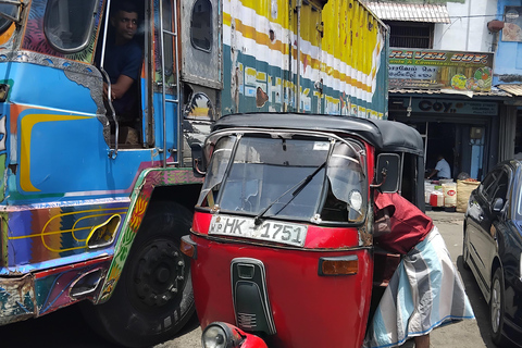 Walk Through Colombo’s History and Culture