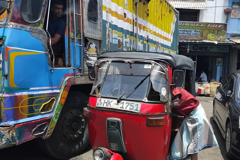 Walk Through Colombo’s History and Culture