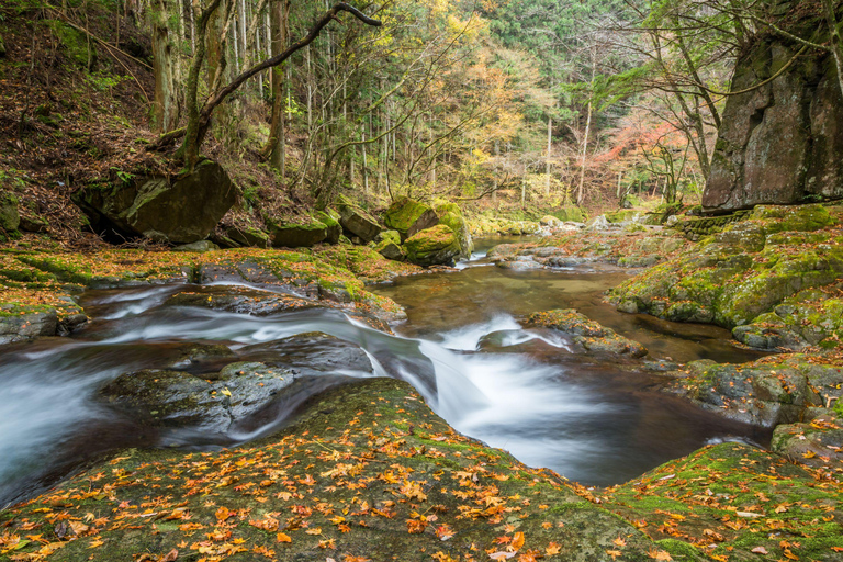 Osaka: Nara, Akame 48 Waterfalls & Tanzan Shrine Tour Shared Tour, Meet at Tsurutontan Soemoncho