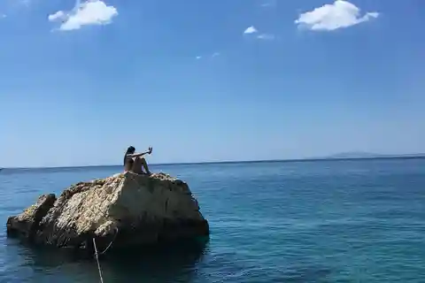 Wild Bays: Swimming and Snorkeling with Capt. Bobo (Private)