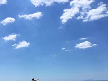 Wild Bays: Swimming and Snorkeling with Capt. Bobo (Private)