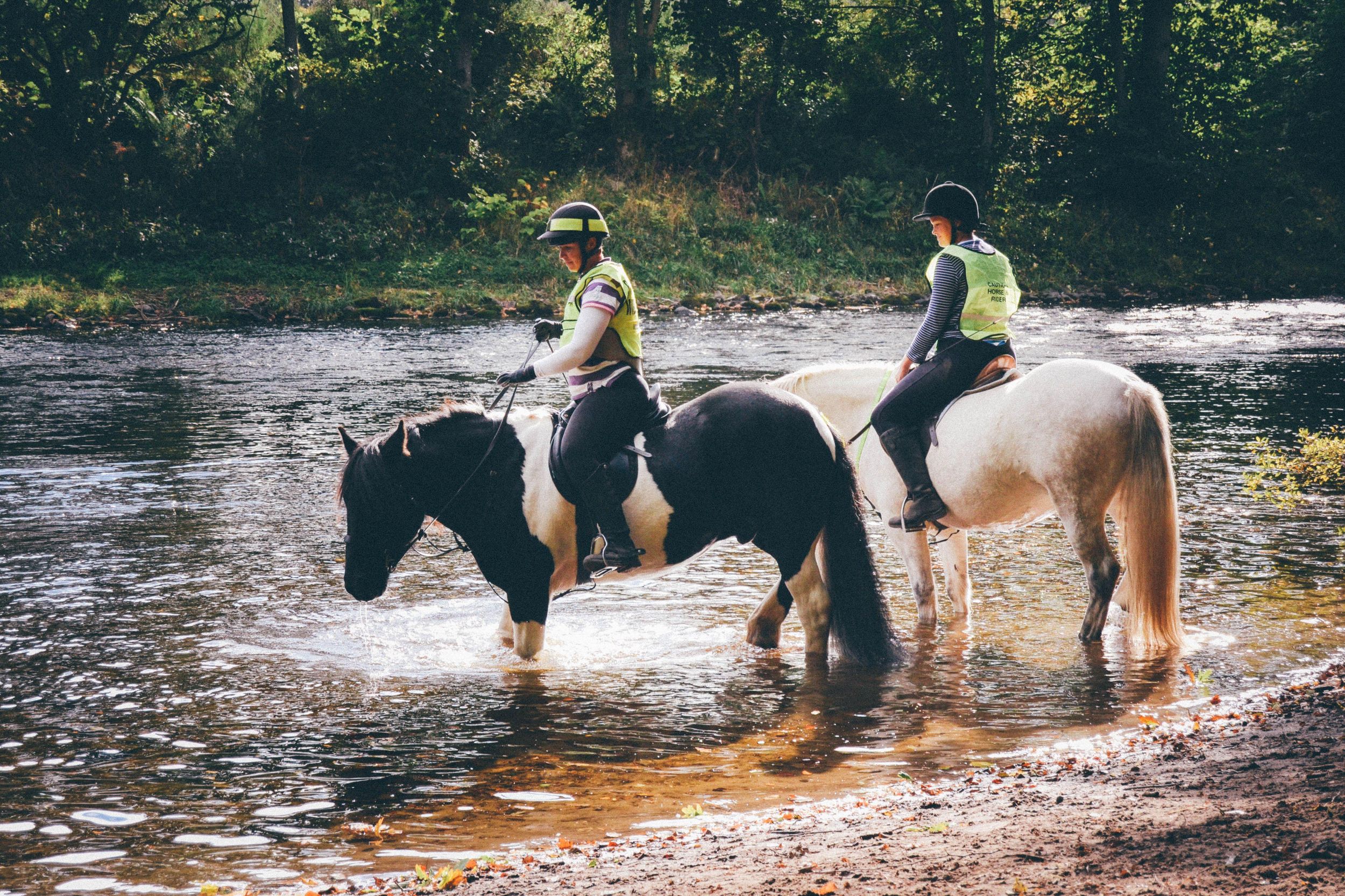 Saint-Tropez: Reitausflug in der Natur + Flussüberquerung
