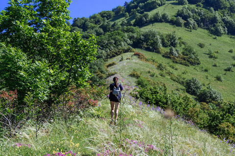 Quito: Private Cotopaxi National Park & Pasochoa Wildlife