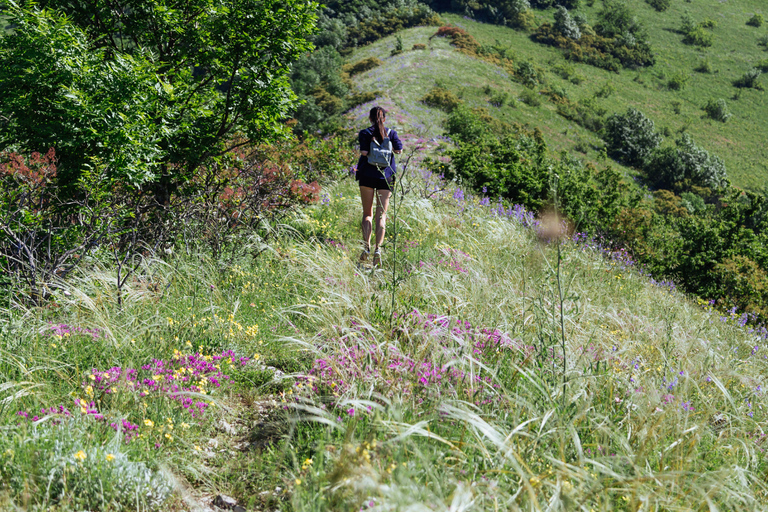 Quito: Private Cotopaxi National Park & Pasochoa Wildlife