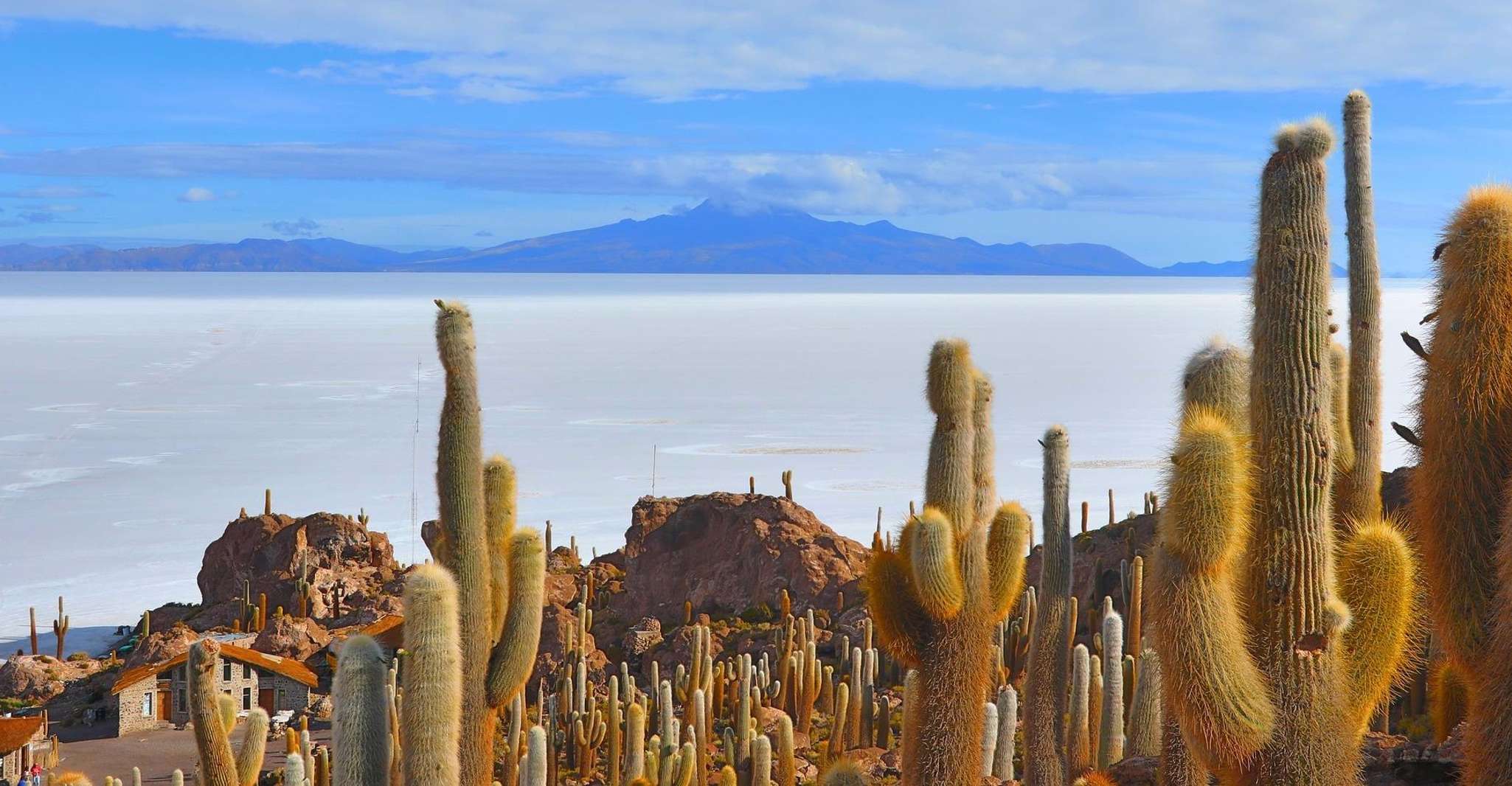 Uyuni Salt Flats and Sunset - Full-Day | Guide in English | - Housity