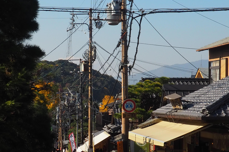 E-Bike Tour in Kyoto with Asuka, Japanese graduate student