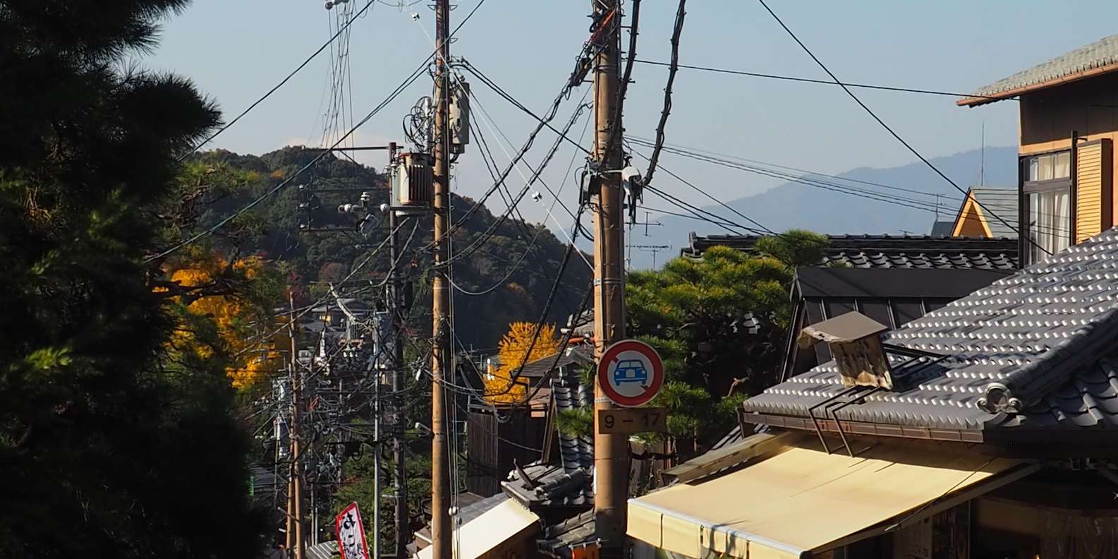 Kyoto experience — temples, geisha, bamboo grove — image 76