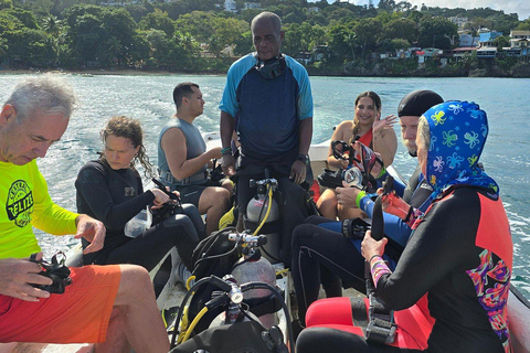 Scuba Diving in Puerto Plata Scuba Dive + Hotel Pickup