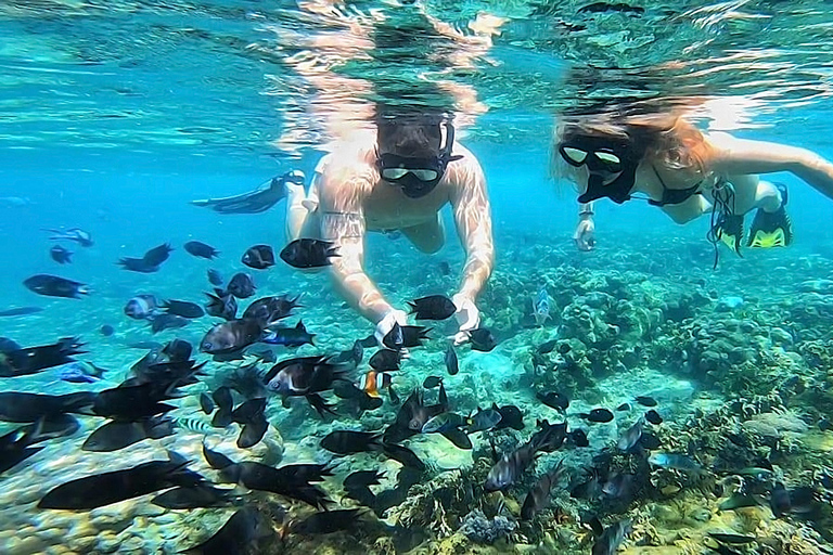 Schnorcheln auf Gili Nanggu, Tangkong, Sudak und Kedis