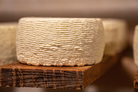 Martina Franca: Masseria Tour with Pasta & Mozzarella Class