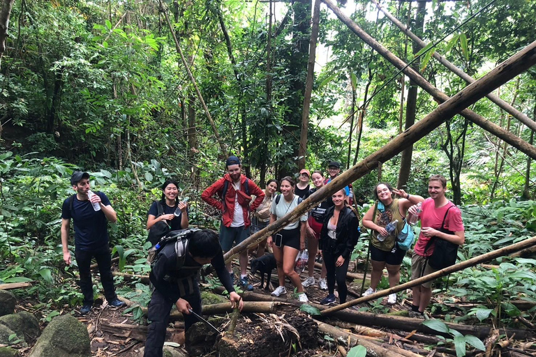 Chiang Rai: Jungle Adventure-Group Trekking & Bamboo Cooking