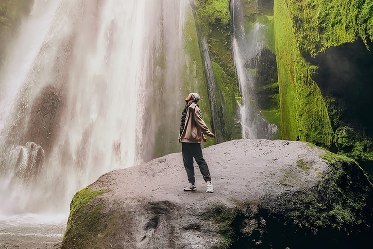Private South Coast Tour from Reykjavík Port Full Day