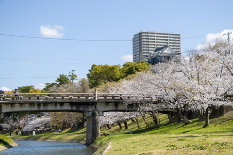 From Nagoya: Miso Factory, Fox Statue Shrine & Castle