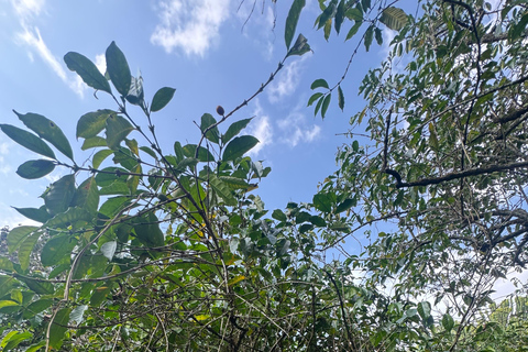 Borana National Park: Wildlife and Birdwatching Tour