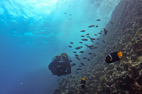 IMMERSIONI A MOSQUERA - TESORI SUBACQUEI DELLE GALAPAGOS