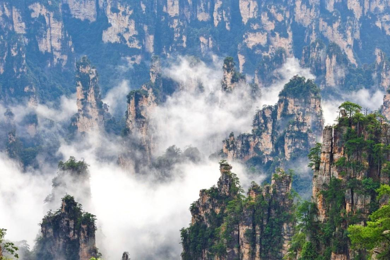 Vertical Heights: A 2-Day Private Discovery of Zhangjiajie