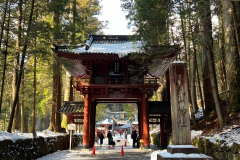 Depuis Tokyo : Excursion privée d'une journée à Nikko, site du patrimoine mondial