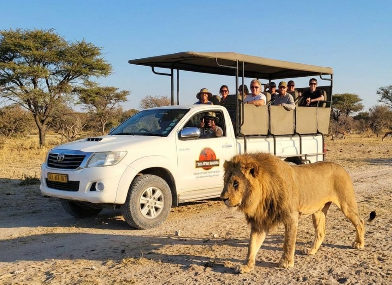 Etosha Nationalpark: Heldags eller halvdags game drive