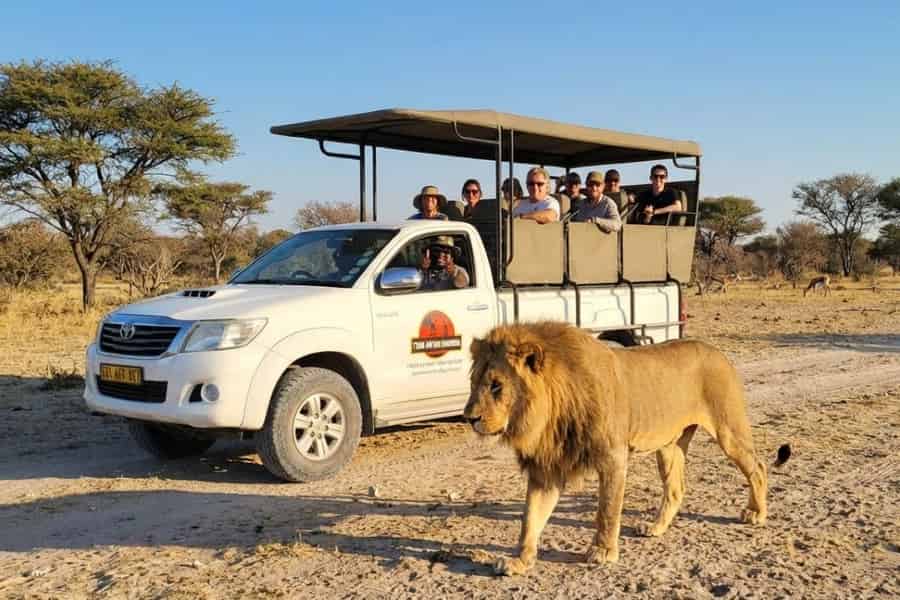 Etosha-Nationalpark: Ganz- oder halbtägige Pirschfahrt. Foto: GetYourGuide Etosha-Nationalpark: Ganz- oder halbtägige Pirschfahrt. Foto: GetYourGuide