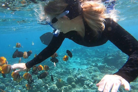 Bali: Nusa Dua Amazing Snorkeling Bezpłatny odbiór z obszaru Nusa Dua