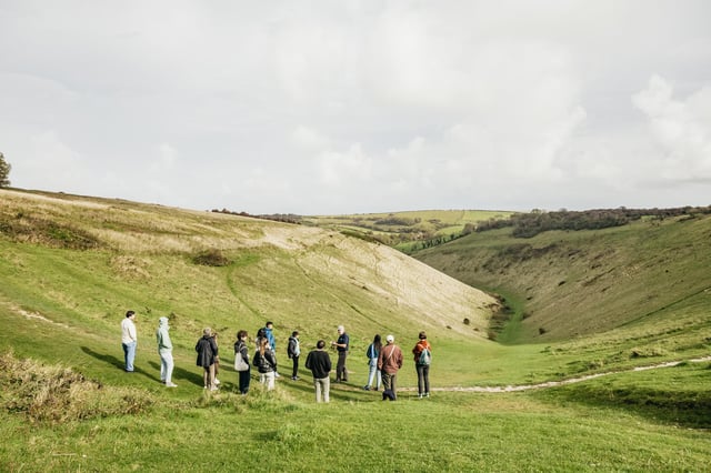 Londres : excursion d&#039;une journée aux falaises blanches de South Downs avec billets de train