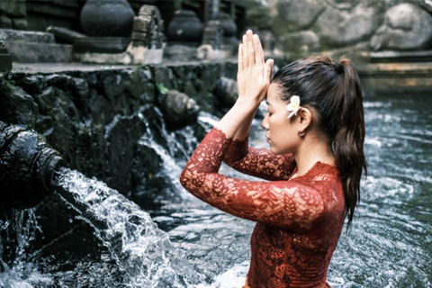 Floresta de macacos de Ubud, templo, terraço de arroz e balanço na selvaPasseio em Ubud - Tudo incluído