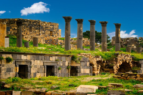 Private or Group: Jerash, Ajloun Castle & Umm Qais day Tour Sharing/Group: Jerash, Ajloun &Umm Qais (10 H)