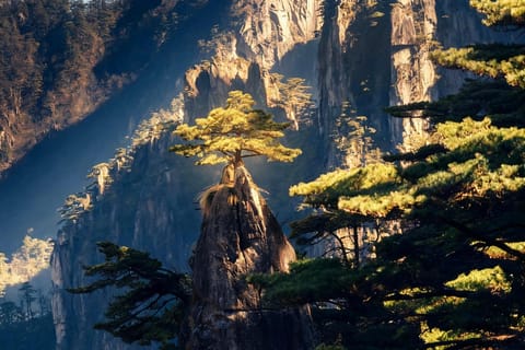 Shanghai: 2-Day Private Trip to Huangshan and Hongcun