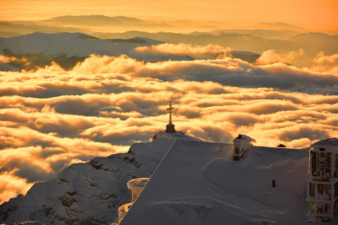 Bucharest Private Transylvania Day Trip: Peles Bran & Brasov