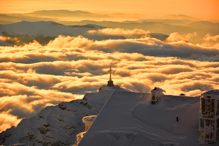 Bucharest Private Transylvania Day Trip: Peles Bran & Brasov