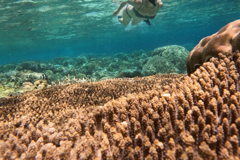 From Gili Air island : Group/Public Snorkeling 3 Gilis