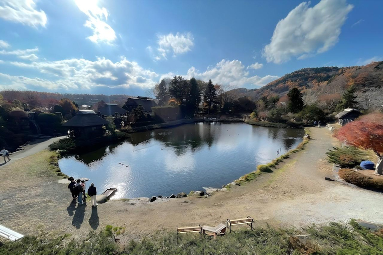 Tokyo : Visite d&#039;une jounée des quatre sites majestueux du mont Fuji