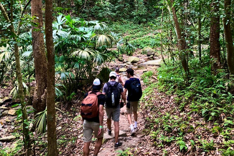 Trekking Tayrona complet x 2 jours : jungle, plages et culture indigèneTrekking complet Tayrona x 2 jours : jungle, plages et culture indigène