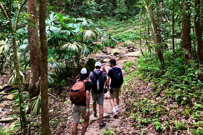Trekking Tayrona complet x 2 jours : jungle, plages et culture indigèneTrekking complet Tayrona x 2 jours : jungle, plages et culture indigène