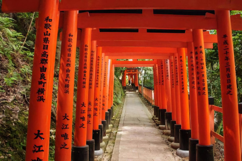 From Sapporo: Shakotan, Yoichi, & Otaru Private Day Trip