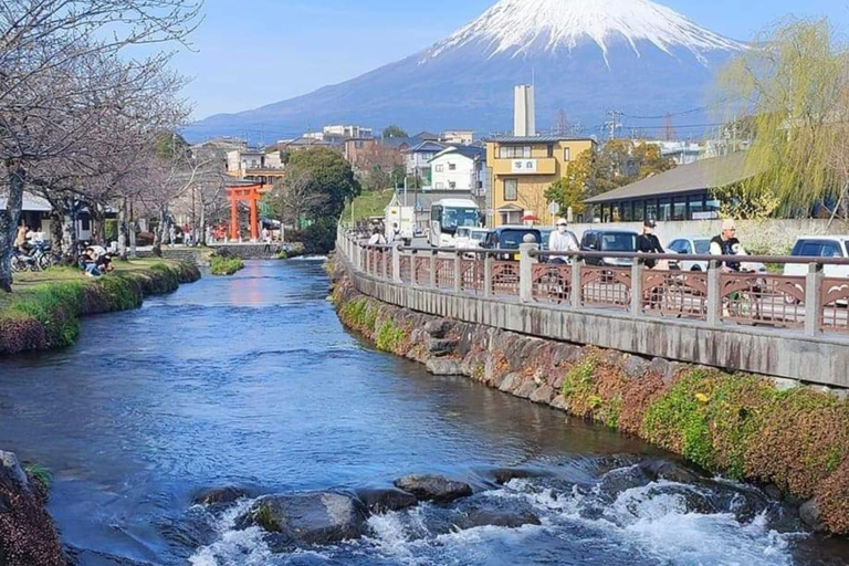 Tokyo: Tour personalizzato del Monte Fuji con autista di lingua ingleseToyota Crown di lusso fino a 3 persone