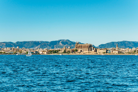 Palma de Mallorca: fiesta en barco de día con todo incluidoPalma de Mallorca: experiencia en barco todo incluido de día