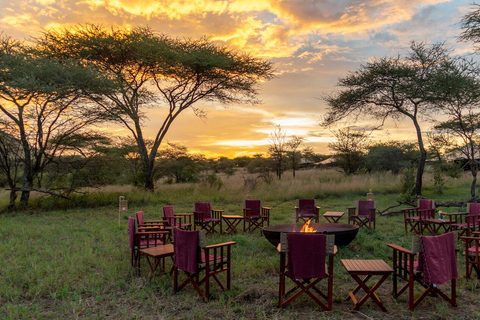 Visite guidée de la ville de Nairobi