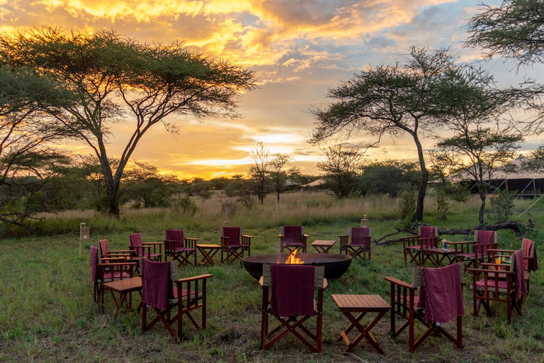 Visite guidée de la ville de Nairobi