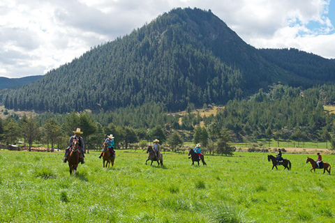 Visit to Porcon and Otuzco Farm in Cajamarca