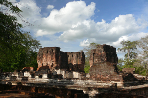From Kandy: Polonnaruwa Day Tour, Medieval Capital Discovery