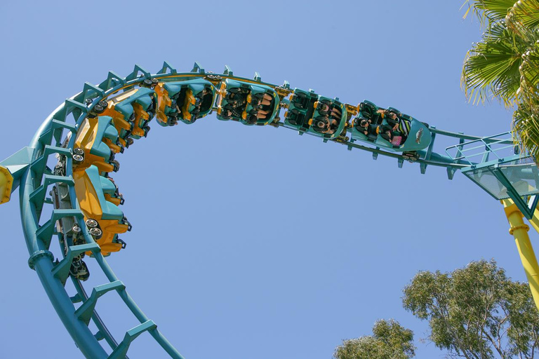 San Francisco: Six Flags Discovery Kingdom Admission Ticket Six Flags: Discovery Kingdom Good Any Day Ticket